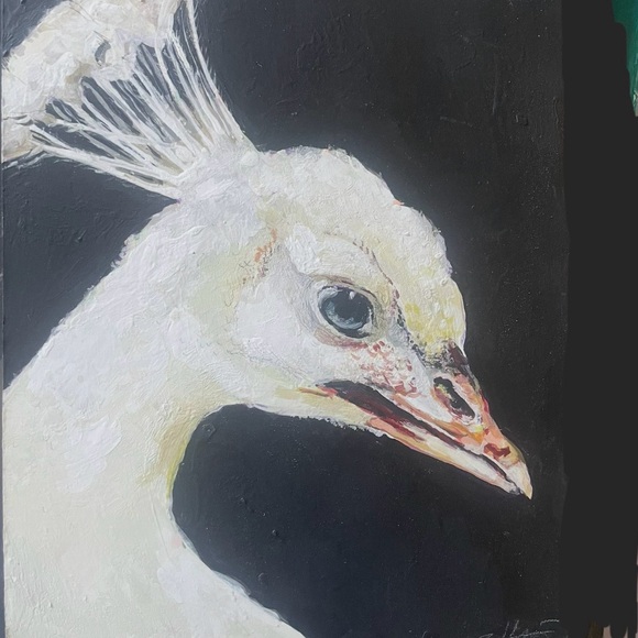 zoraeh07